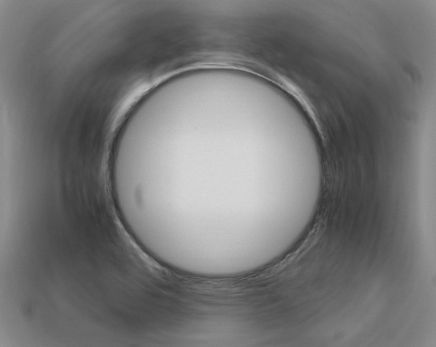 X0000113601464200909181058