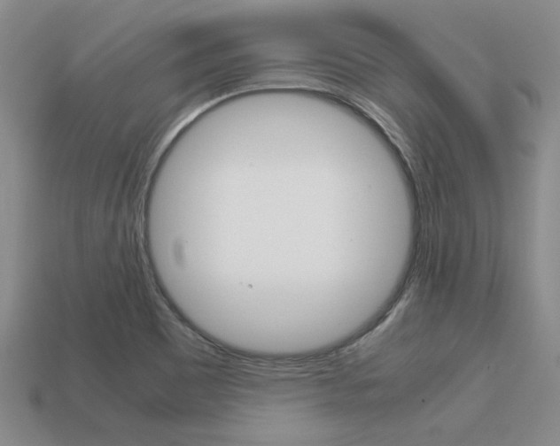 X0000113601465200909181058