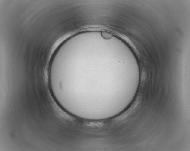X0000113601466200909181058