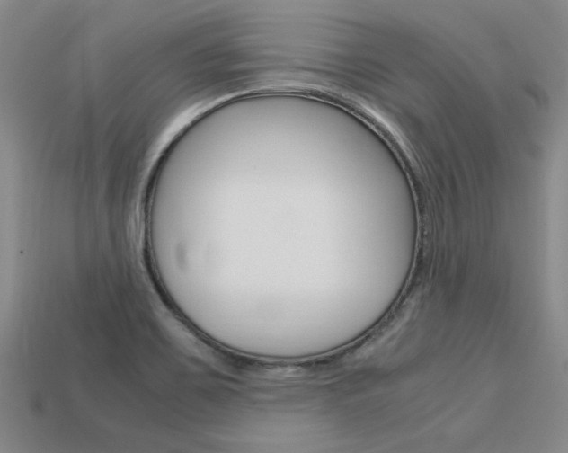 X0000113601467200909181058