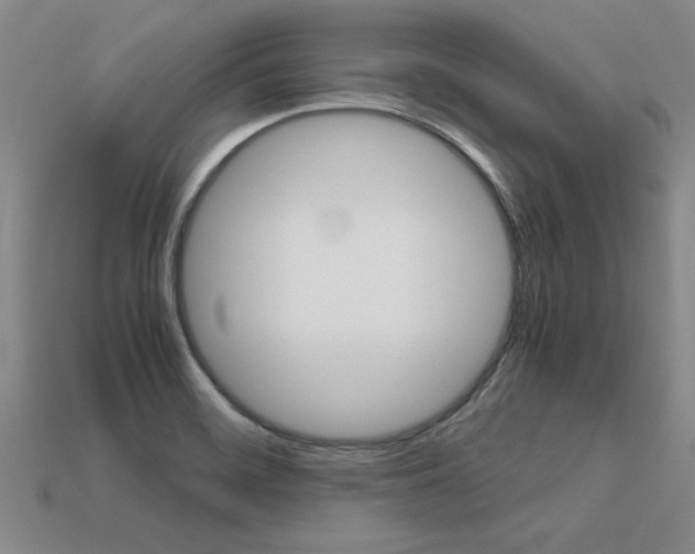 X0000113601468200909181058