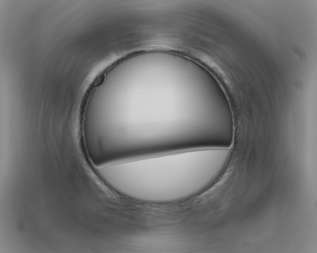 X0000113601469200909181058