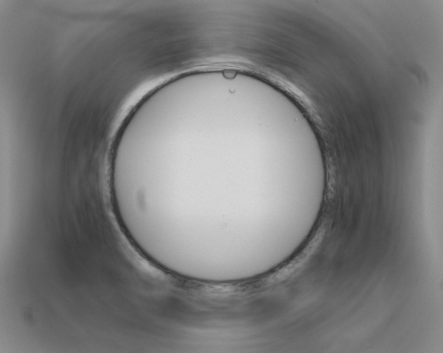 X0000113601470200909181058