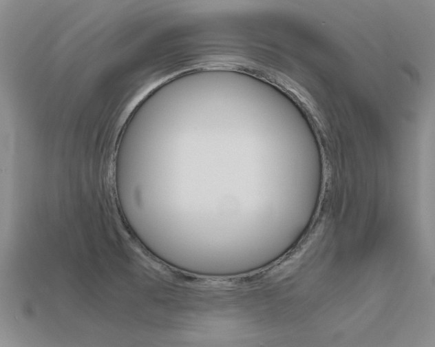 X0000113601473200909181058