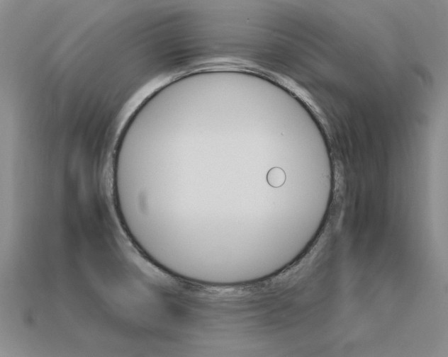 X0000113601474200909181058