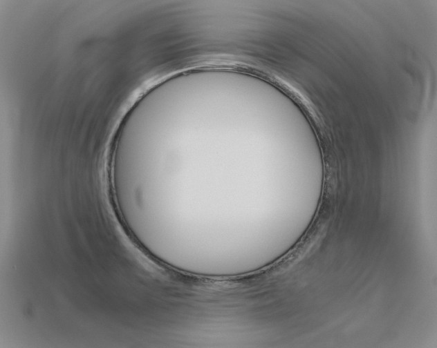 X0000113601475200909181058