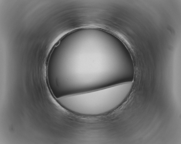 X0000113601476200909181058
