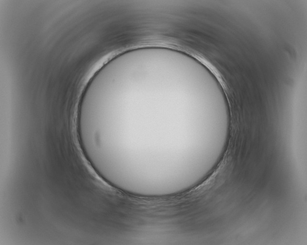 X0000113601477200909181058