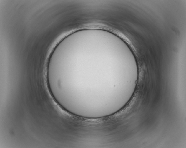 X0000113601478200909181058