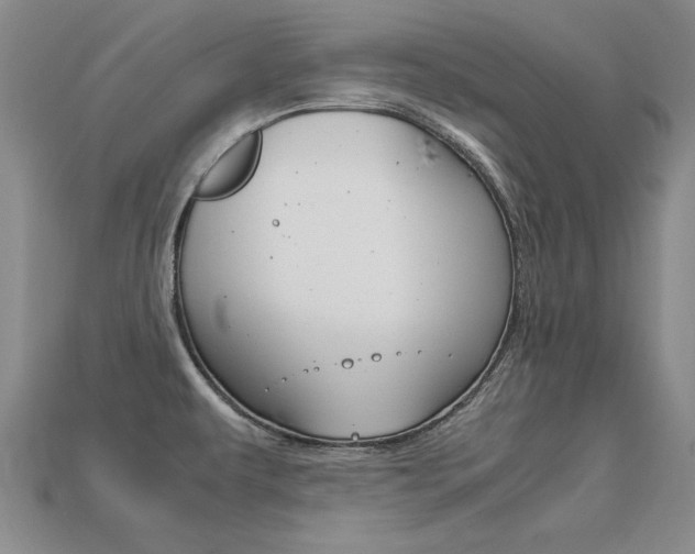 X0000113601479200909181058