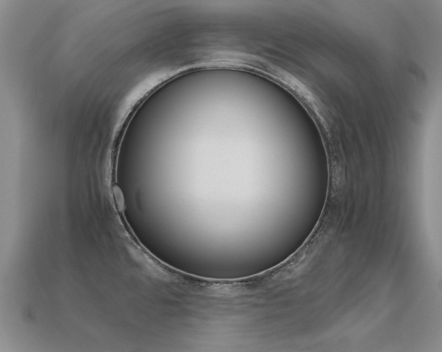 X0000113601480200909181058