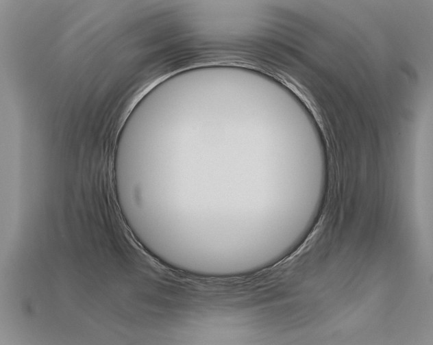 X0000113601481200909181058