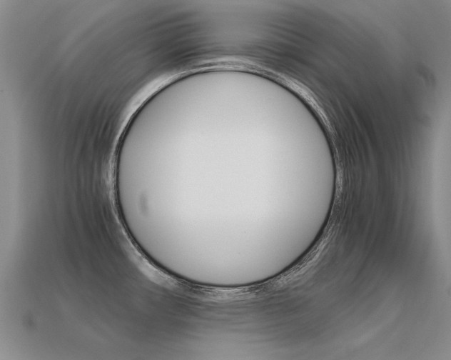 X0000113601482200909181058