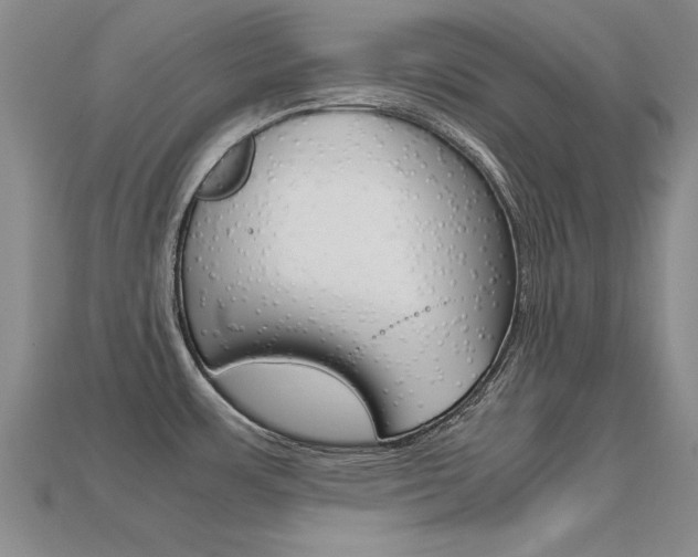 X0000113601483200909181058