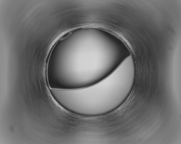 X0000113601484200909181058