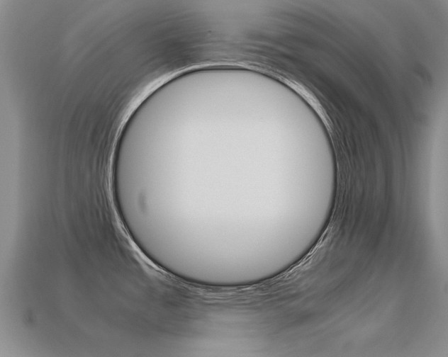 X0000113601485200909181058