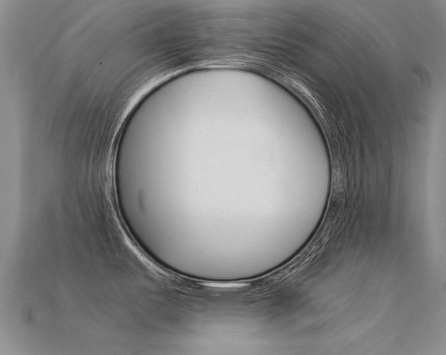 X0000113601487200909181058