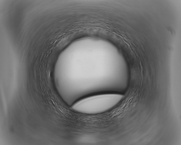 X0000113601489200909181057