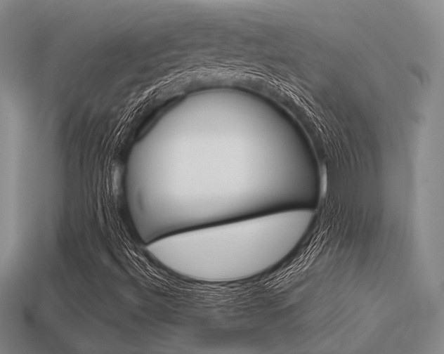 X0000113601492200909181057