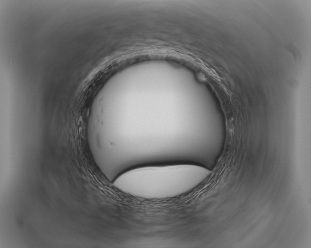 X0000113601495200909181057