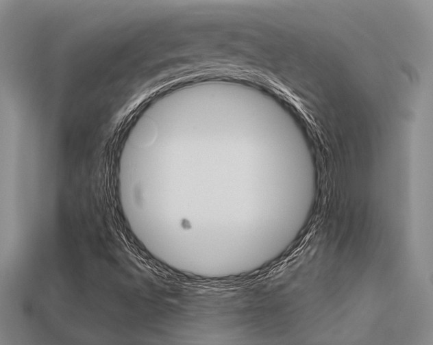 X0000113601496200909181057