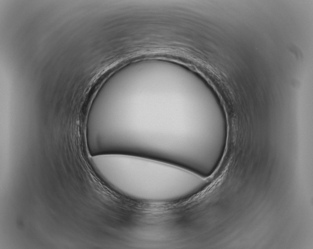 X0000113601497200909181057