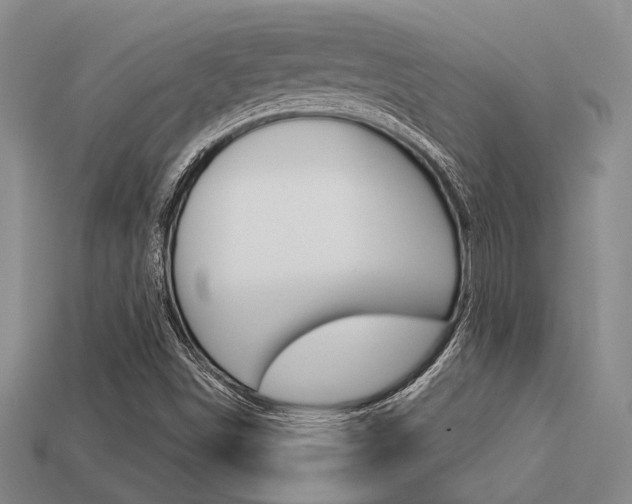 X0000113601498200909181057