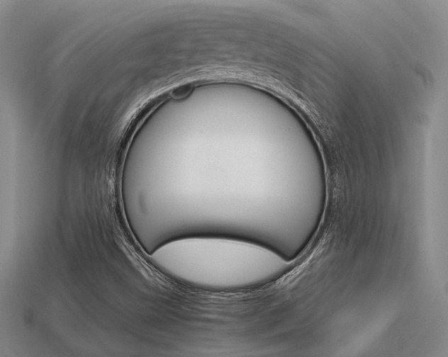 X0000113601499200909181057
