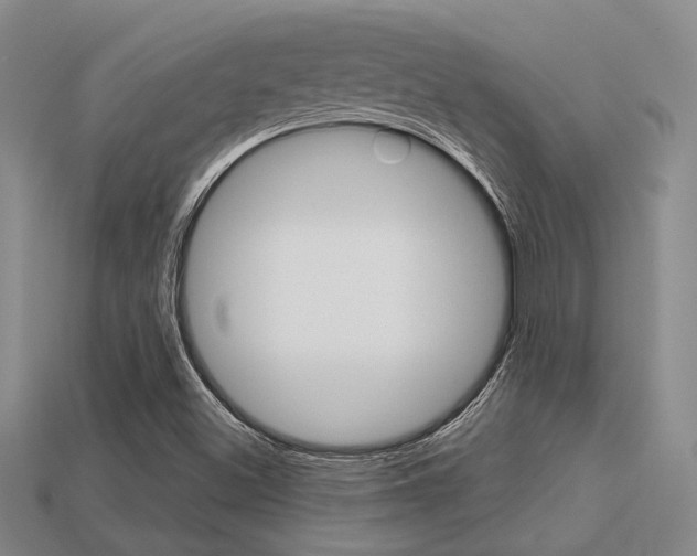 X0000113601500200909181057