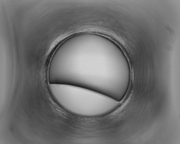 X0000113601501200909181058
