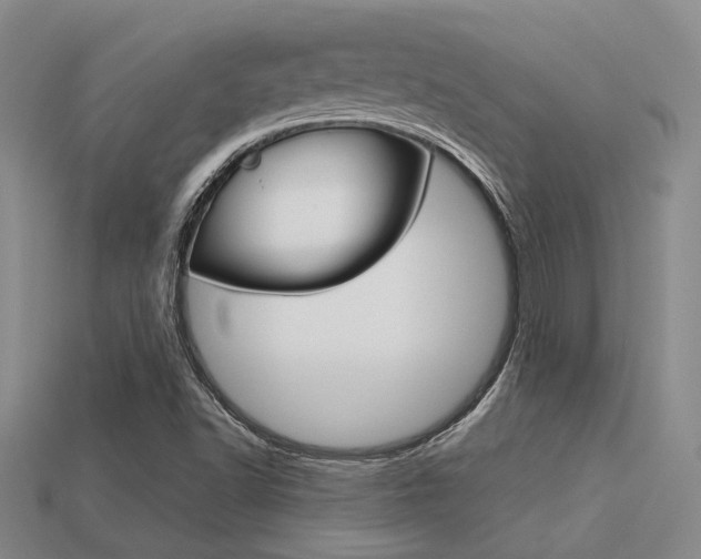 X0000113601502200909181058