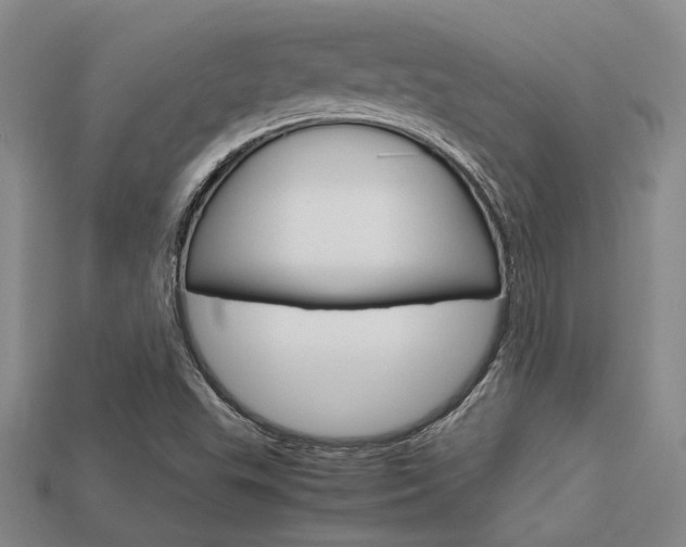 X0000113601503200909181058