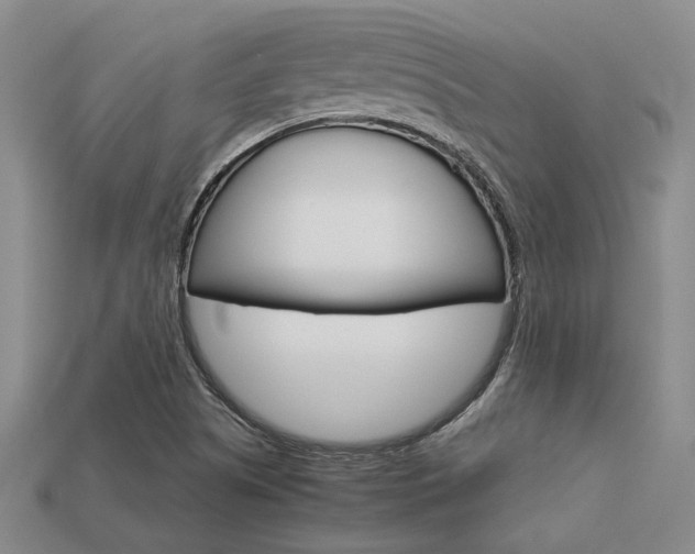 X0000113601505200909181058