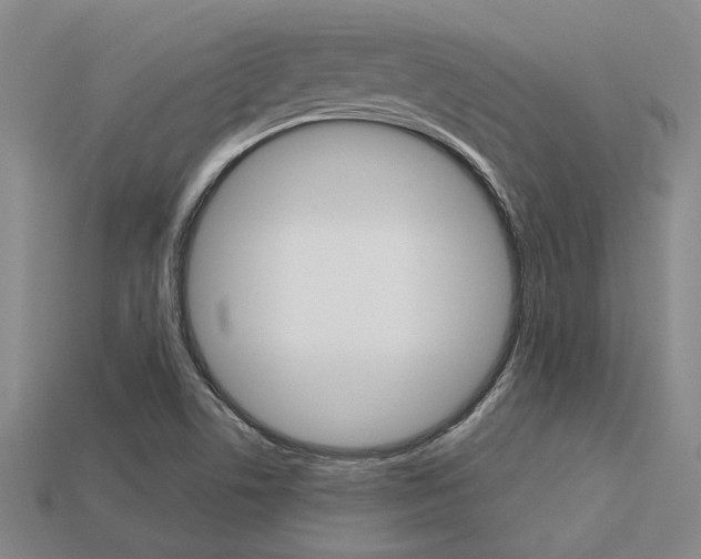X0000113601506200909181058