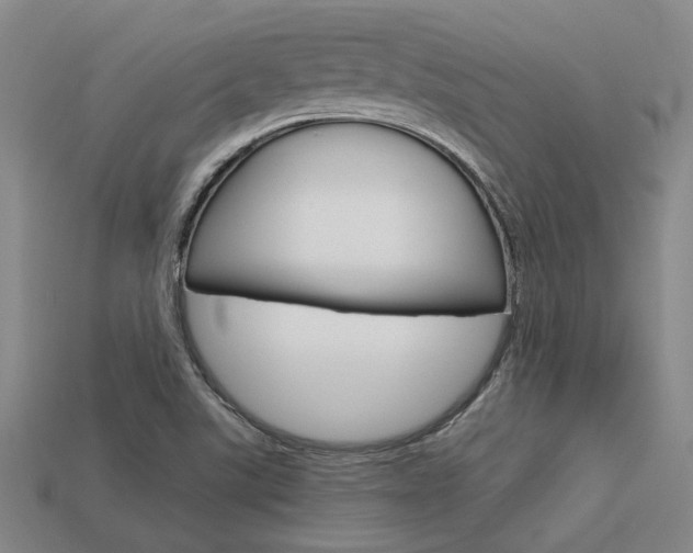 X0000113601507200909181058