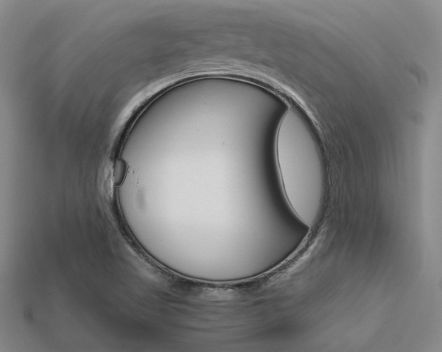 X0000113601509200909181058