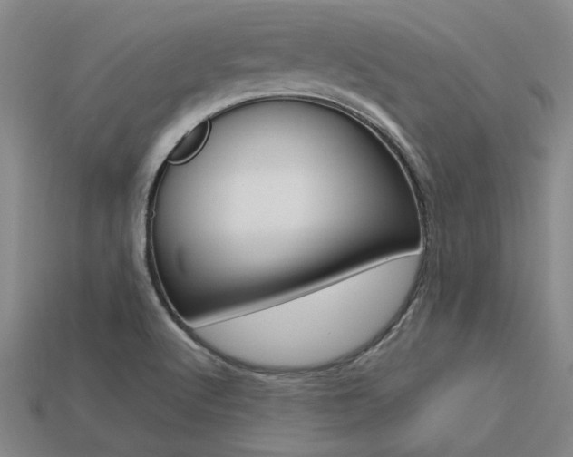 X0000113601512200909181058