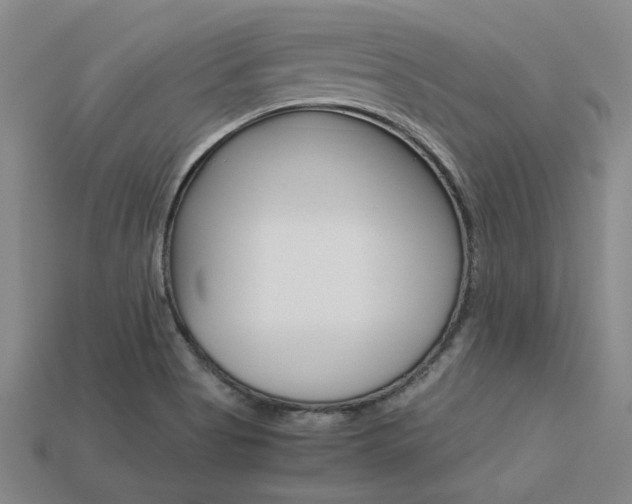 X0000113601513200909181058