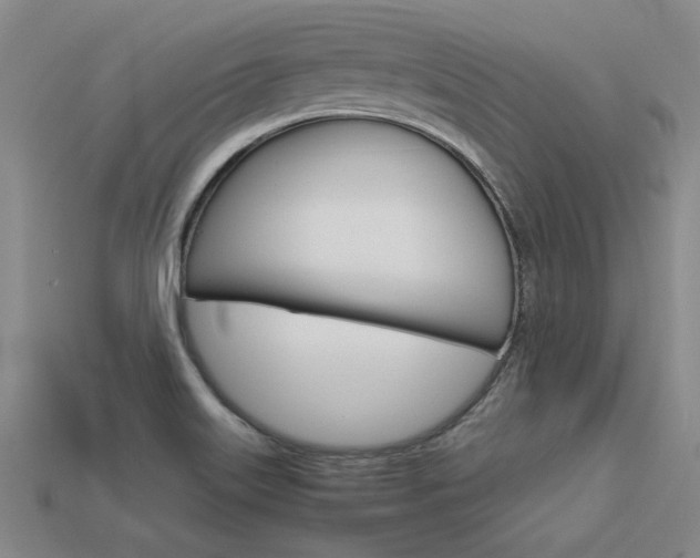 X0000113601515200909181058