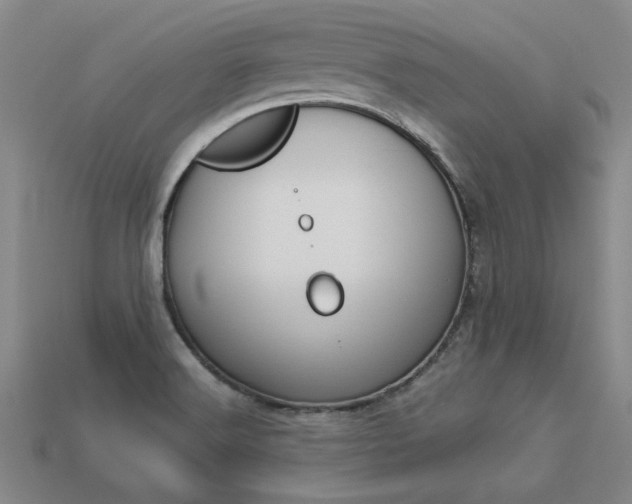 X0000113601516200909181058