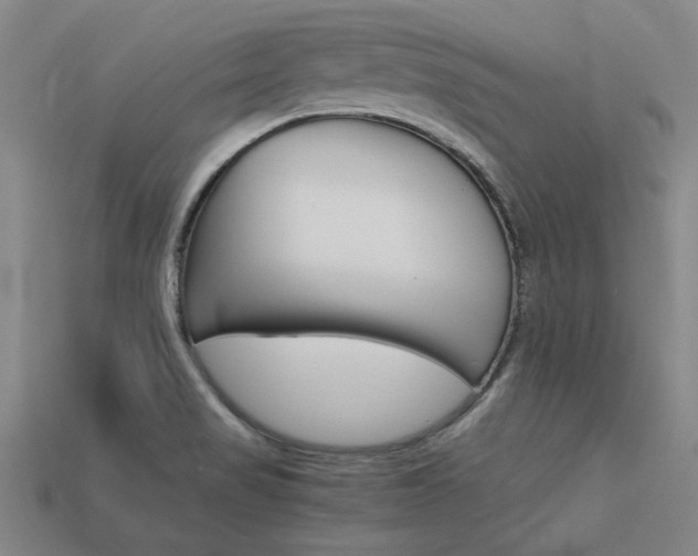 X0000113601517200909181058