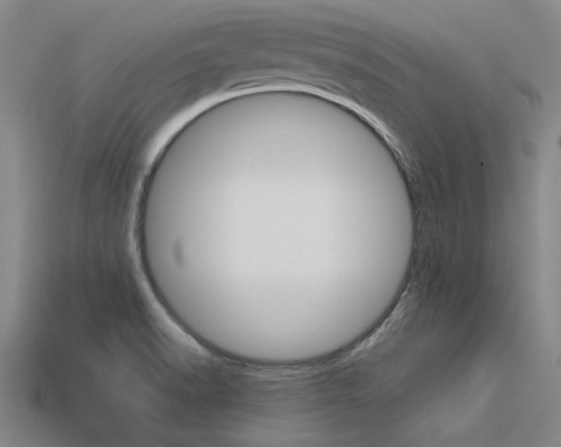 X0000113601518200909181058