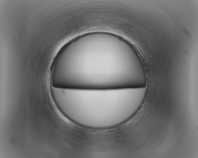 X0000113601519200909181058