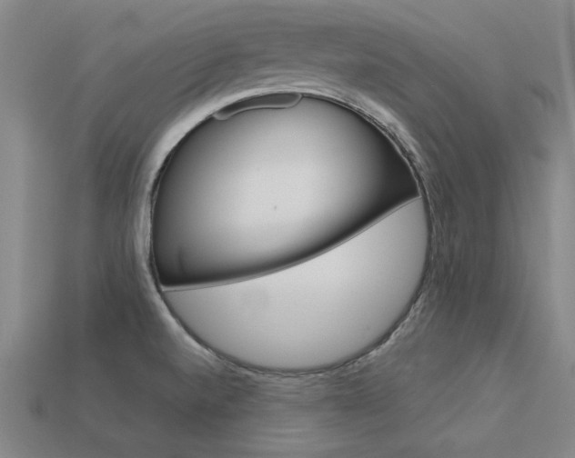 X0000113601520200909181058