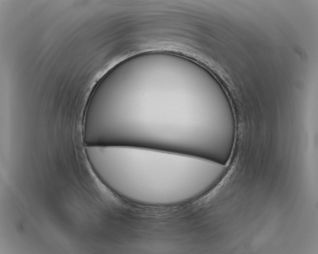 X0000113601521200909181058