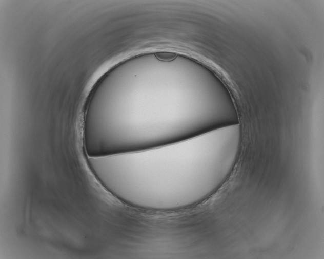 X0000113601522200909181058