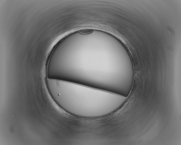X0000113601523200909181058