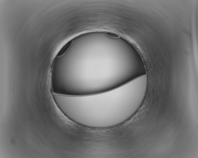 X0000113601524200909181058