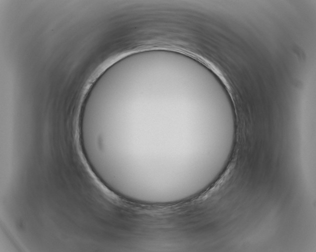 X0000113601525200909181058