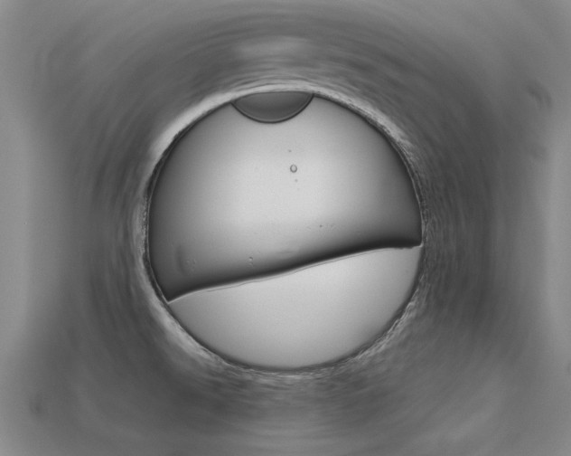 X0000113601526200909181058